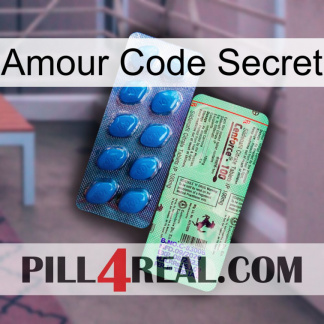 Love Secret Code new02